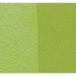 Lime 04